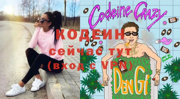 дурь Арсеньев