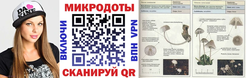 где купить   kraken зеркало  Галлюциногенные грибы GOLDEN TEACHER  Себеж 